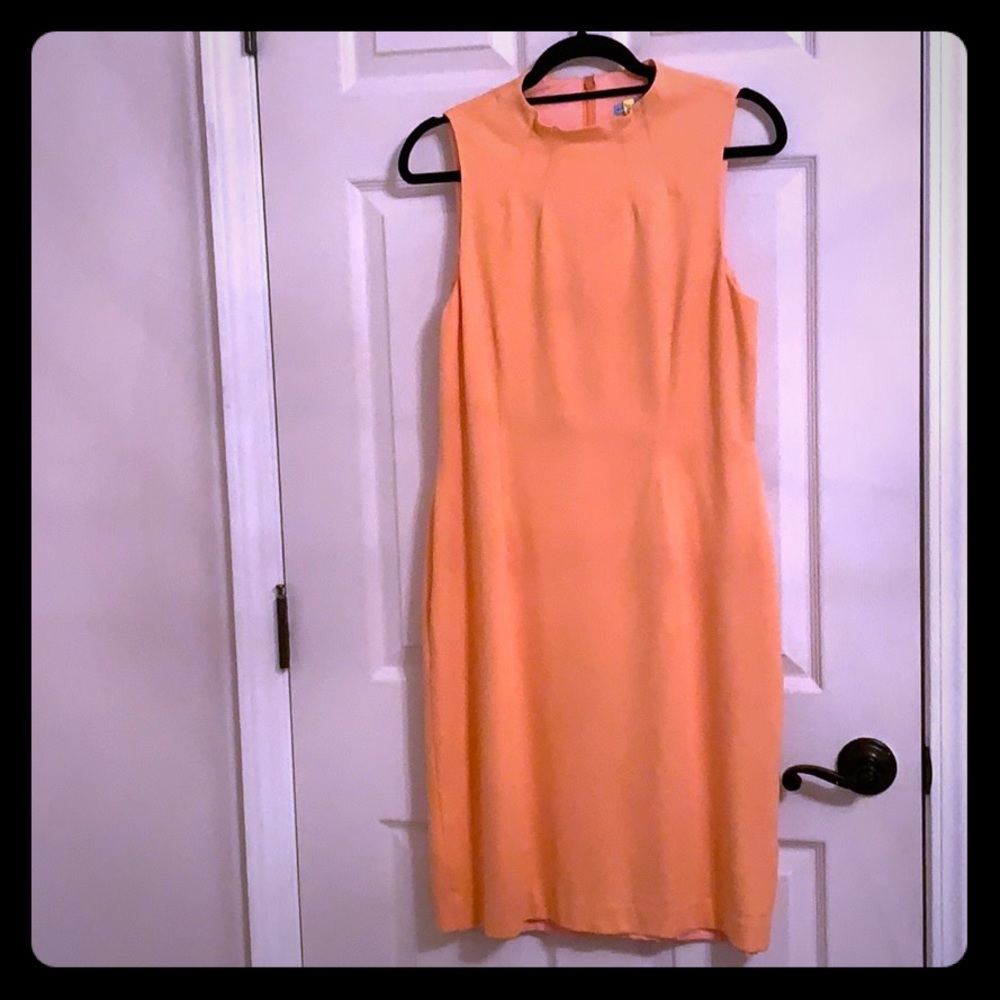 Antonio Melani Coral knee length sheath dress